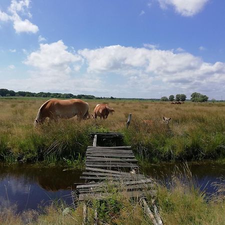 Dom Goscinny Ptaszarnia - Natura-Free Parking Свіноуйсьце Екстер'єр фото