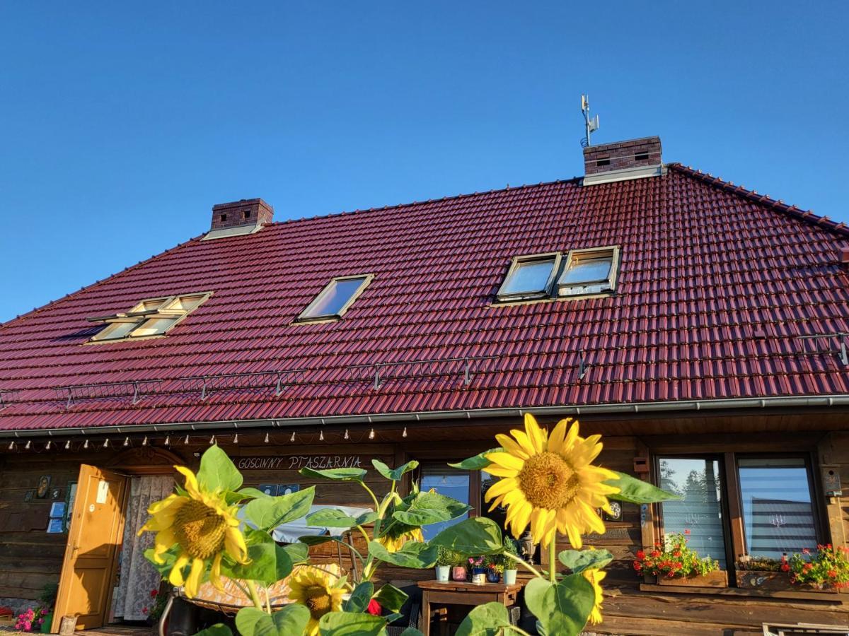 Dom Goscinny Ptaszarnia - Natura-Free Parking Свіноуйсьце Екстер'єр фото
