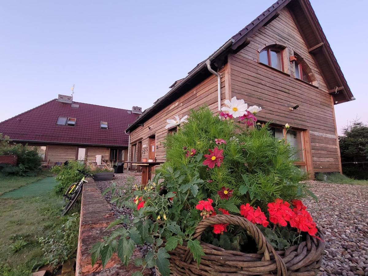 Dom Goscinny Ptaszarnia - Natura-Free Parking Свіноуйсьце Екстер'єр фото