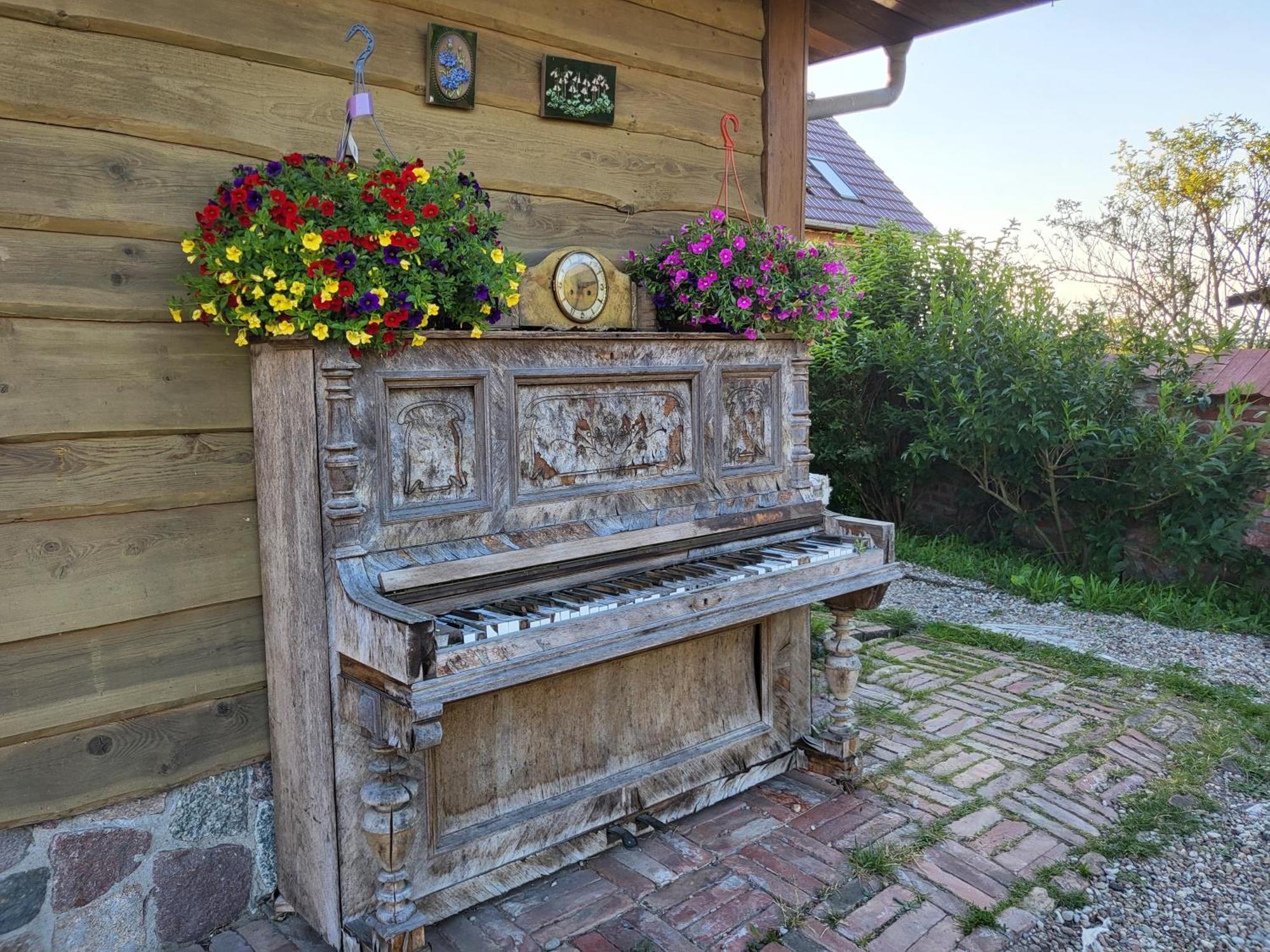 Dom Goscinny Ptaszarnia - Natura-Free Parking Свіноуйсьце Екстер'єр фото