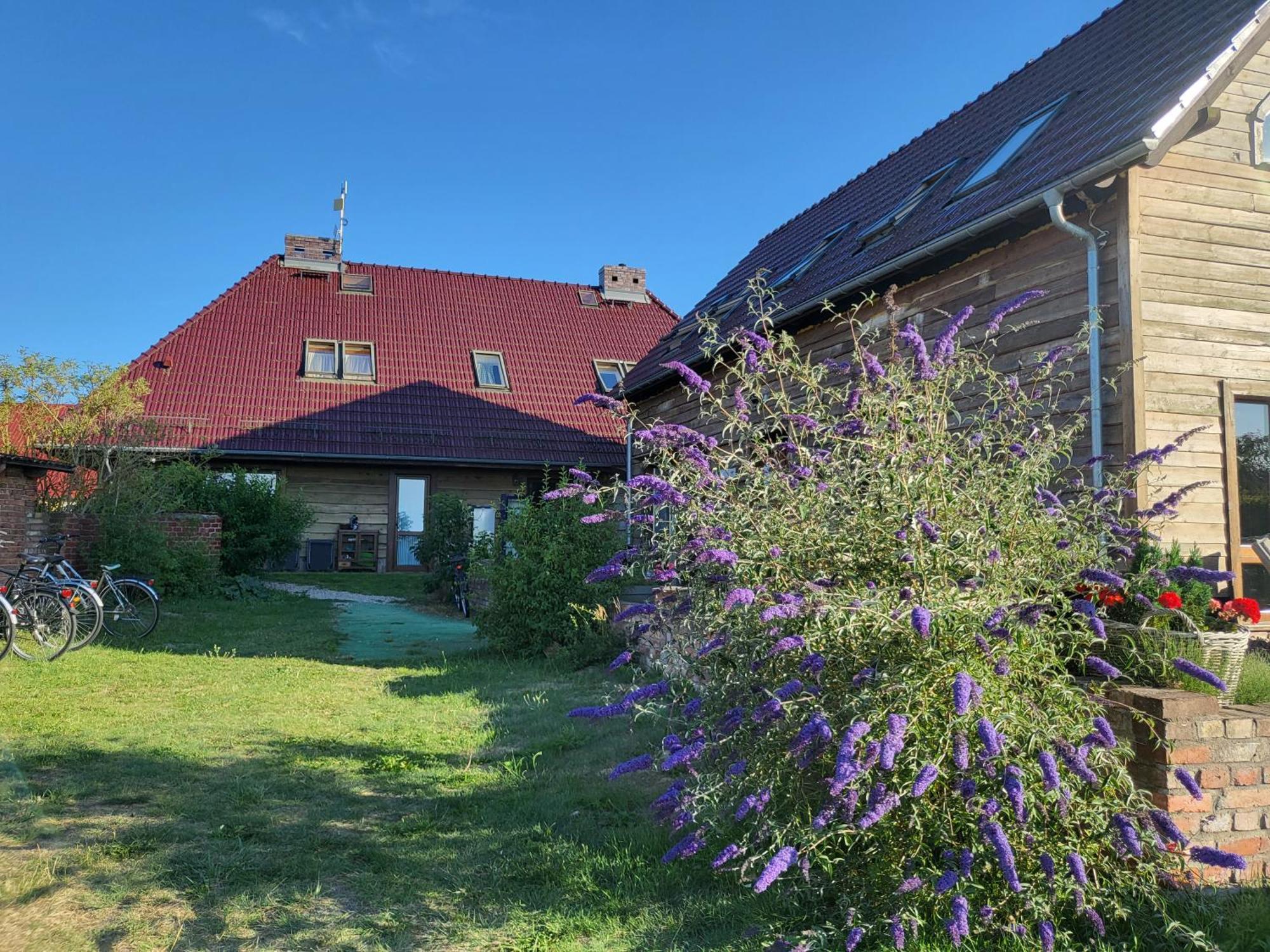 Dom Goscinny Ptaszarnia - Natura-Free Parking Свіноуйсьце Екстер'єр фото