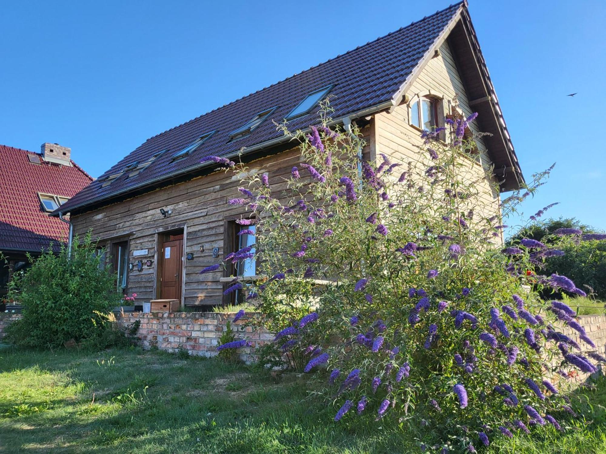 Dom Goscinny Ptaszarnia - Natura-Free Parking Свіноуйсьце Екстер'єр фото